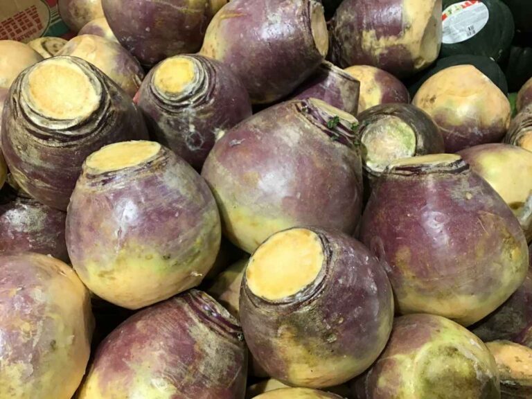 Emperor Vespasian Top 10 Most Interesting Facts