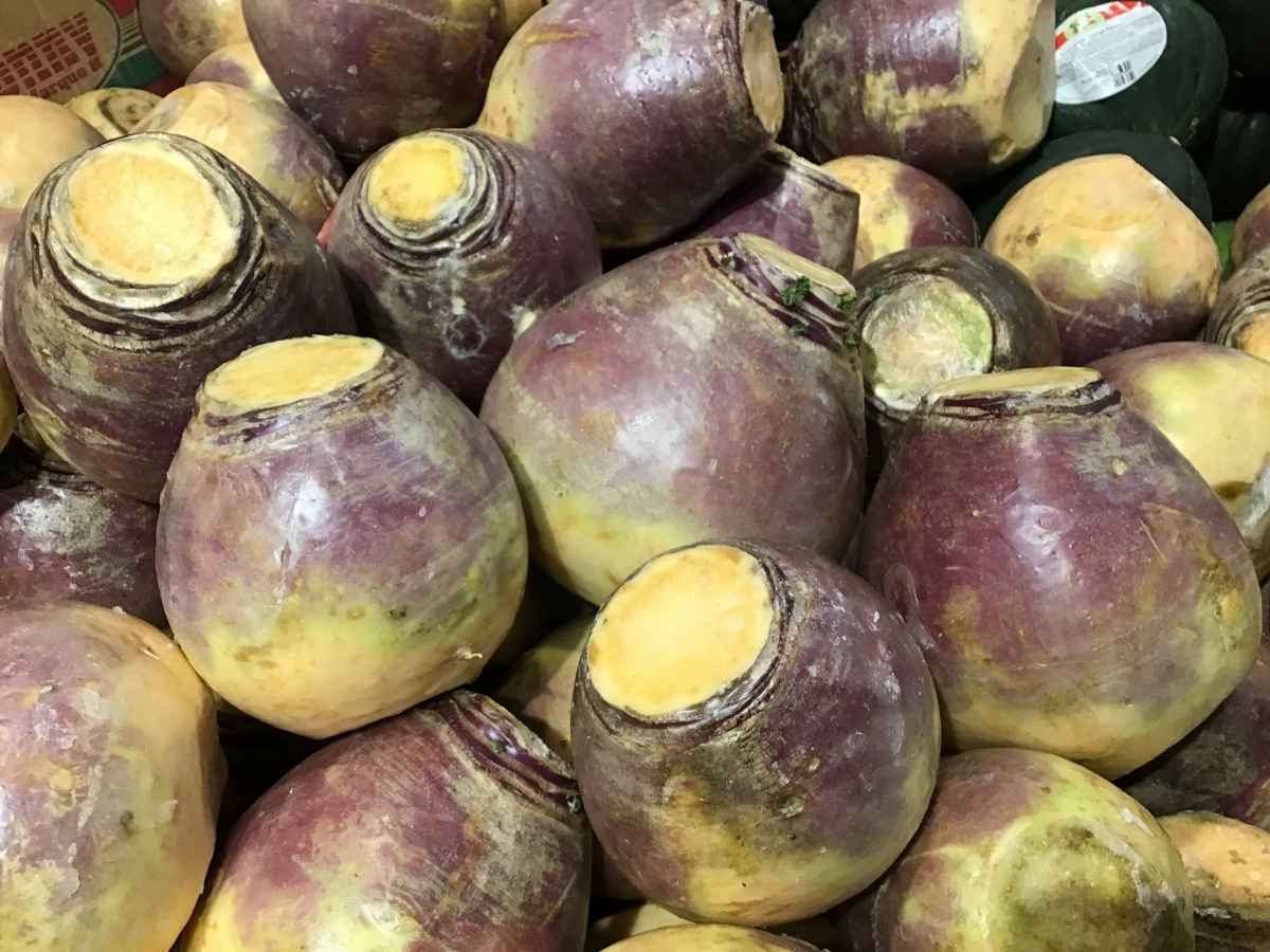 Emperor Vespasian Top 10 Most Interesting Facts