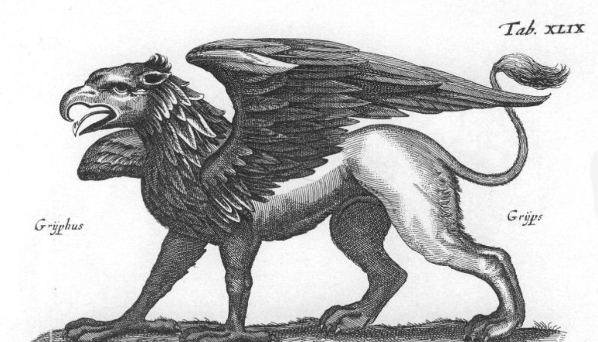 Artwork of a Griffin