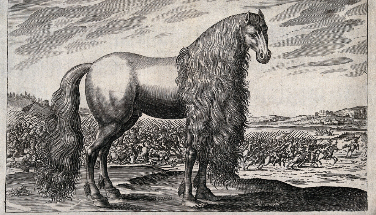 Asturcus, the legendary horse of Julius Caesar, with human forefeet; a battle in the background. Engraving attributed to P. Tröschel.