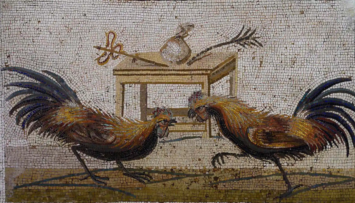 The Sacred Chickens of Rome